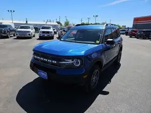 Bronco Cactus Gray: Unveiling the Allure of Rugged Elegance