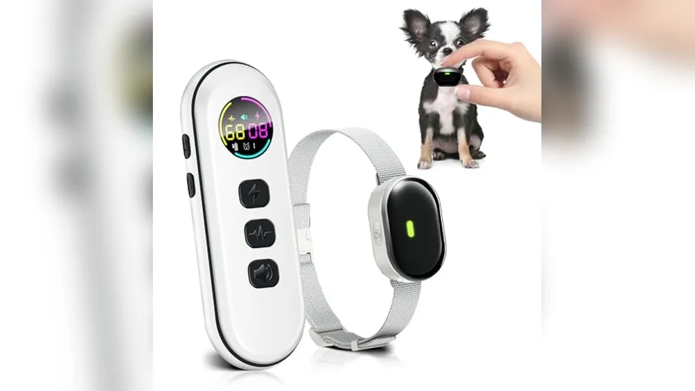 Best Electronic Collar for Small Dogs