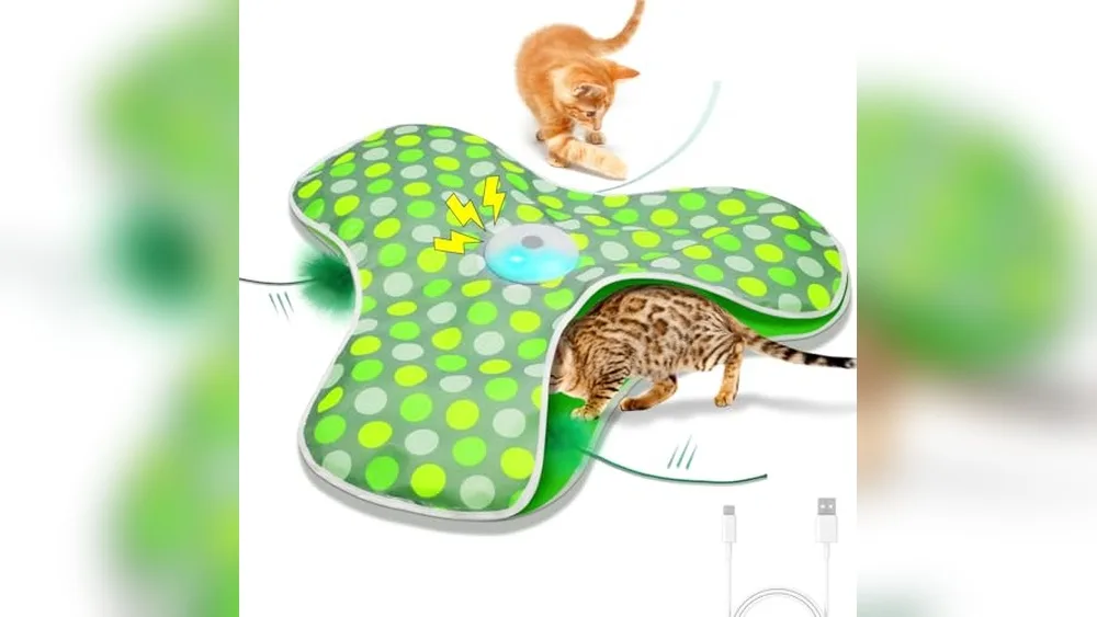 Best Electronic Toys for Cats